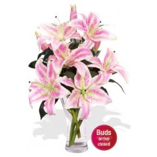 4 Oriental Lily Vase Bouquet